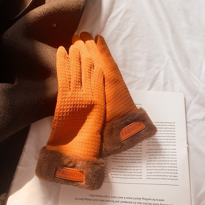 Ziemas cimdi ar dūnām - vairākas krāsas