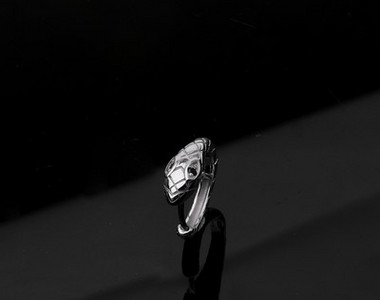 Ασημένια ανδρικά σκουλαρίκια σε σχήμα φιδιού