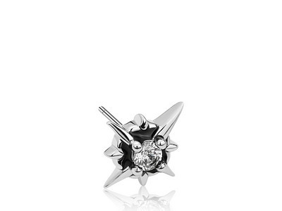 Vyriški auskarai su varžtu