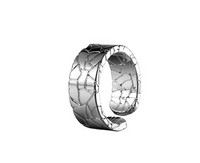 Muški prsten - od čelika