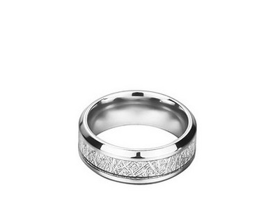 Rotējošais gredzens izgatavots no sudraba krāsas tērauda