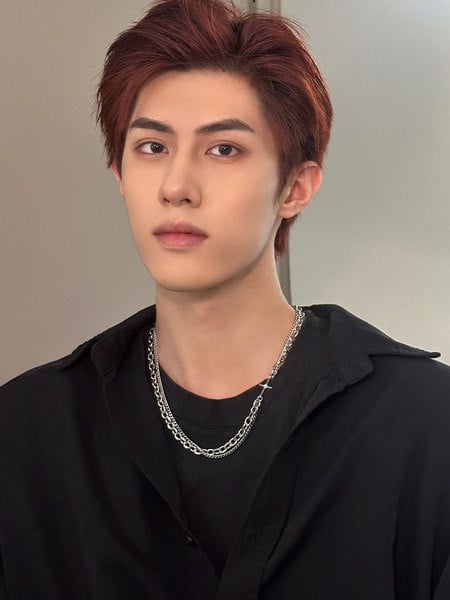 Sidabrinės spalvos vyriškas dviejų eilių pakabukas