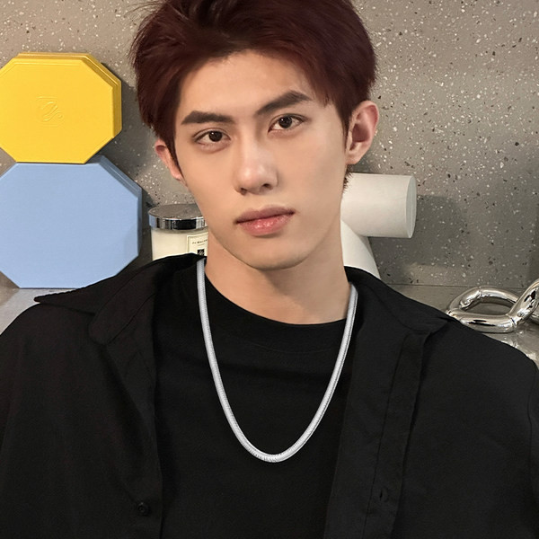 Καθαρή ανδρική αλυσίδα - σε ασημί χρώμα