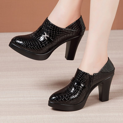 Ženske cipele na visoku petu s patentnim zatvaračem i postavom