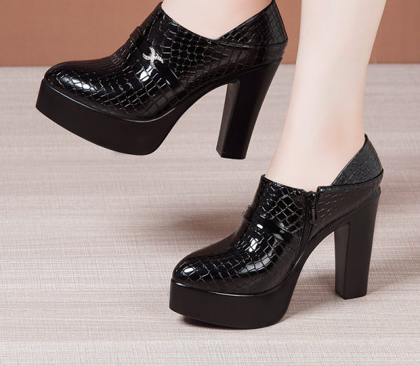 Ženske cipele na visoku petu s patentnim zatvaračem i postavom