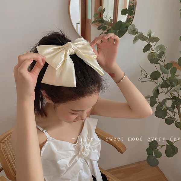 Дамска ежедневна щипка за коса с панделка