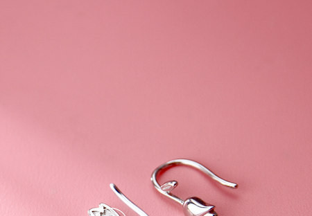 Stiilsed hõbedased kõrvarõngad naistele