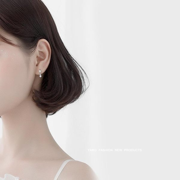 Cercei rotunzi de dama - cu pandantiv metalic