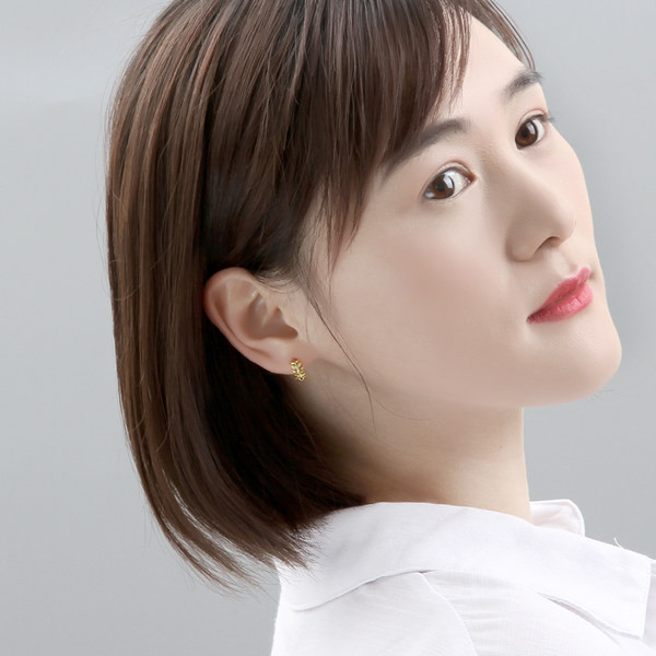 Cercei la modă pentru femei