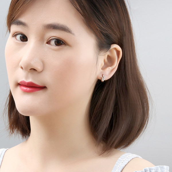 Model nou de cercei de dama cu pietre de culoare argintie