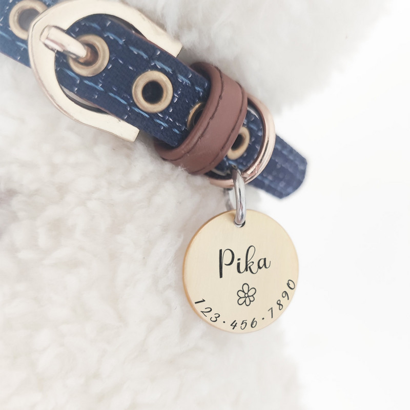Personalizēti Pet Cat Dog ID Tag Apkakles Aksesuāri MW001 Pielāgota iegravēta kaklarota ķēdes šarmu piederumi suņu birkas nosaukumam Produkti