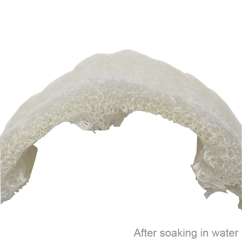 Lufa naturală Burete floristic pentru spălat vase pentru bucătărie Accesorii pentru vase Articole mici Accesorii Ustensile Produse ecologice Vase de gătit