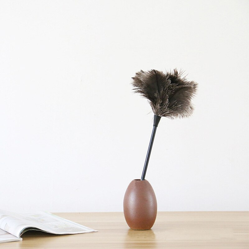 1 tk jaanalinnusulgede karusnahahari tolmupuhastustööriist puidust käepidemega DIY kodutarbed