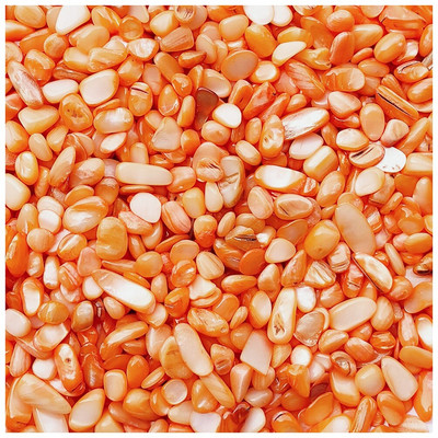 Prirodna školjka DIY mozaik pločice 100 g mješovitih boja Nepravilni mozaik pločice za izradu DIY zidne rukotvorine Ručno izrađeni ukrasni materijali