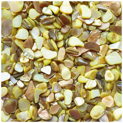 Prirodna školjka DIY mozaik pločice 100 g mješovitih boja Nepravilni mozaik pločice za izradu DIY zidne rukotvorine Ručno izrađeni ukrasni materijali