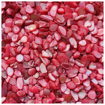 Prirodna školjka DIY mozaik pločice 100 g mješovitih boja Nepravilni mozaik pločice za izradu DIY zidne rukotvorine Ručno izrađeni ukrasni materijali