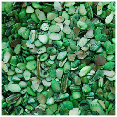 Prirodna školjka DIY mozaik pločice 100 g mješovitih boja Nepravilni mozaik pločice za izradu DIY zidne rukotvorine Ručno izrađeni ukrasni materijali