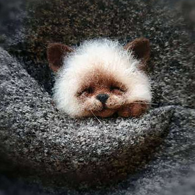 „Pasidaryk pats“ Moterys / Vyrai Kišeninis gyvūnas Naminė lėlė Žaislas Vilna adatų vėlimo rinkinys „Pasidaryk pats“ nebaigtas šuns katės lapės galvos dekoras