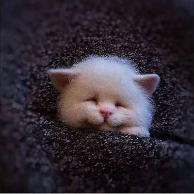 „Pasidaryk pats“ Moterys / Vyrai Kišeninis gyvūnas Naminė lėlė Žaislas Vilna adatų vėlimo rinkinys „Pasidaryk pats“ nebaigtas šuns katės lapės galvos dekoras