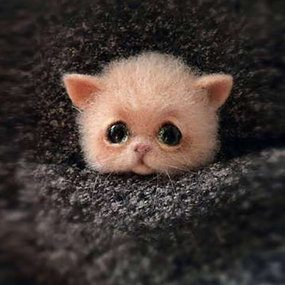 „Pasidaryk pats“ Moterys / Vyrai Kišeninis gyvūnas Naminė lėlė Žaislas Vilna adatų vėlimo rinkinys „Pasidaryk pats“ nebaigtas šuns katės lapės galvos dekoras