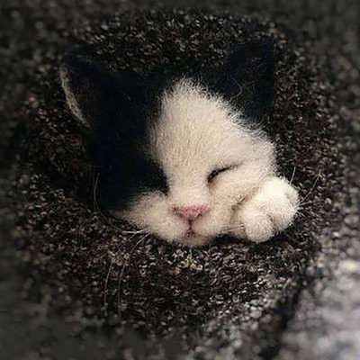 „Pasidaryk pats“ Moterys / Vyrai Kišeninis gyvūnas Naminė lėlė Žaislas Vilna adatų vėlimo rinkinys „Pasidaryk pats“ nebaigtas šuns katės lapės galvos dekoras