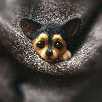 „Pasidaryk pats“ Moterys / Vyrai Kišeninis gyvūnas Naminė lėlė Žaislas Vilna adatų vėlimo rinkinys „Pasidaryk pats“ nebaigtas šuns katės lapės galvos dekoras