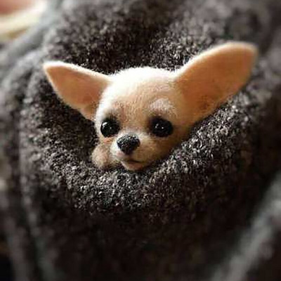 „Pasidaryk pats“ Moterys / Vyrai Kišeninis gyvūnas Naminė lėlė Žaislas Vilna adatų vėlimo rinkinys „Pasidaryk pats“ nebaigtas šuns katės lapės galvos dekoras