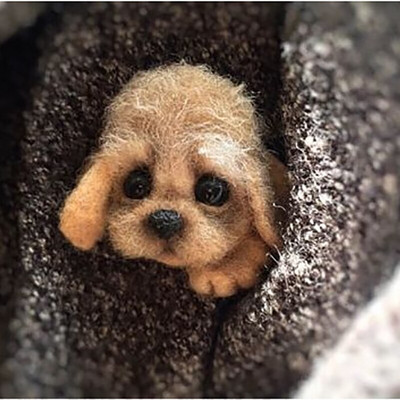 „Pasidaryk pats“ Moterys / Vyrai Kišeninis gyvūnas Naminė lėlė Žaislas Vilna adatų vėlimo rinkinys „Pasidaryk pats“ nebaigtas šuns katės lapės galvos dekoras