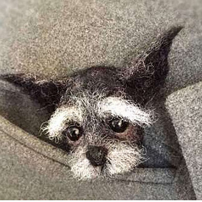 „Pasidaryk pats“ Moterys / Vyrai Kišeninis gyvūnas Naminė lėlė Žaislas Vilna adatų vėlimo rinkinys „Pasidaryk pats“ nebaigtas šuns katės lapės galvos dekoras