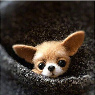 „Pasidaryk pats“ Moterys / Vyrai Kišeninis gyvūnas Naminė lėlė Žaislas Vilna adatų vėlimo rinkinys „Pasidaryk pats“ nebaigtas šuns katės lapės galvos dekoras