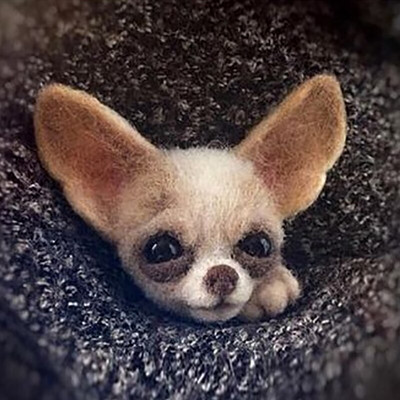 „Pasidaryk pats“ Moterys / Vyrai Kišeninis gyvūnas Naminė lėlė Žaislas Vilna adatų vėlimo rinkinys „Pasidaryk pats“ nebaigtas šuns katės lapės galvos dekoras