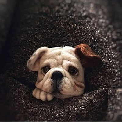 „Pasidaryk pats“ Moterys / Vyrai Kišeninis gyvūnas Naminė lėlė Žaislas Vilna adatų vėlimo rinkinys „Pasidaryk pats“ nebaigtas šuns katės lapės galvos dekoras