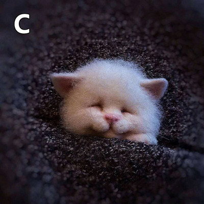 Villane vildist käsitöö toksi komplekt Ise ise teha armsad loomad pross villanõel viltimismaterjalide pakett Käsitsi valmistatud käsitöökomplekt lastele kingitused