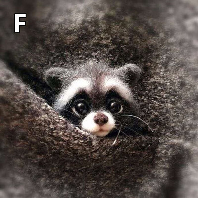 Villane vildist käsitöö toksi komplekt Ise ise teha armsad loomad pross villanõel viltimismaterjalide pakett Käsitsi valmistatud käsitöökomplekt lastele kingitused