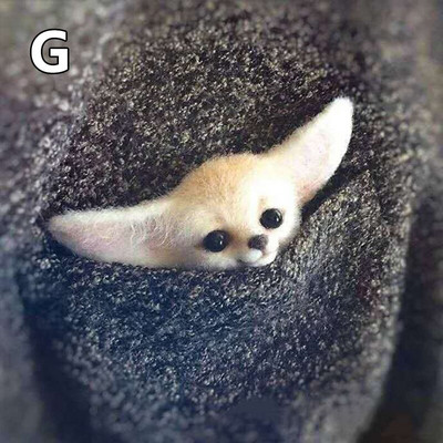 Villane vildist käsitöö toksi komplekt Ise ise teha armsad loomad pross villanõel viltimismaterjalide pakett Käsitsi valmistatud käsitöökomplekt lastele kingitused