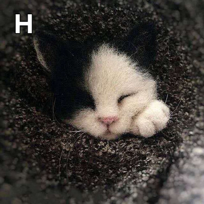 Villane vildist käsitöö toksi komplekt Ise ise teha armsad loomad pross villanõel viltimismaterjalide pakett Käsitsi valmistatud käsitöökomplekt lastele kingitused