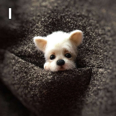 Villane vildist käsitöö toksi komplekt Ise ise teha armsad loomad pross villanõel viltimismaterjalide pakett Käsitsi valmistatud käsitöökomplekt lastele kingitused