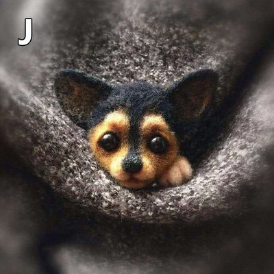 Villane vildist käsitöö toksi komplekt Ise ise teha armsad loomad pross villanõel viltimismaterjalide pakett Käsitsi valmistatud käsitöökomplekt lastele kingitused