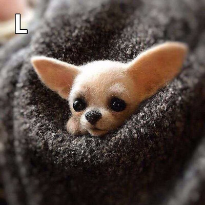 Villane vildist käsitöö toksi komplekt Ise ise teha armsad loomad pross villanõel viltimismaterjalide pakett Käsitsi valmistatud käsitöökomplekt lastele kingitused