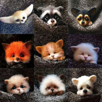 1Σετ Cute Animals Καρφίτσα DIY Wool Needle Felting Υλικό Συσκευασία Μάλλινη τσόχα Craft Poke Σετ DIY Handcraft Kit Παιδιά Δώρο χειροτεχνίας