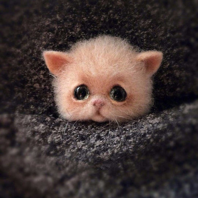 1Komplekt Armsad Loomad Pross DIY villane nõel viltimismaterjalide pakett Villane vildist käsitöö toksi komplekt DIY käsitöökomplekt lastele kingituste meisterdamine