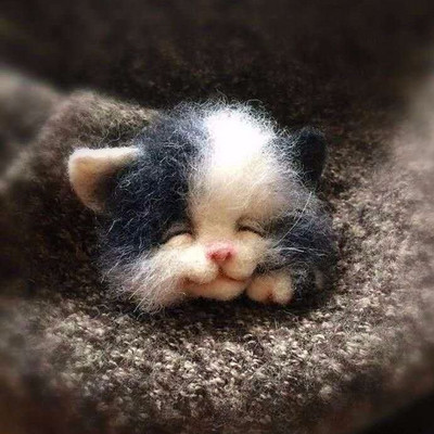 1Komplekt Armsad Loomad Pross DIY villane nõel viltimismaterjalide pakett Villane vildist käsitöö toksi komplekt DIY käsitöökomplekt lastele kingituste meisterdamine