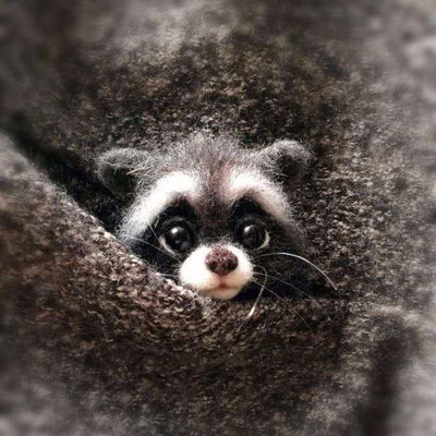 1Komplekt Armsad Loomad Pross DIY villane nõel viltimismaterjalide pakett Villane vildist käsitöö toksi komplekt DIY käsitöökomplekt lastele kingituste meisterdamine