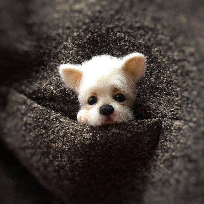 1Komplekt Armsad Loomad Pross DIY villane nõel viltimismaterjalide pakett Villane vildist käsitöö toksi komplekt DIY käsitöökomplekt lastele kingituste meisterdamine