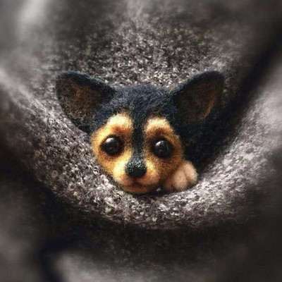 1Komplekt Armsad Loomad Pross DIY villane nõel viltimismaterjalide pakett Villane vildist käsitöö toksi komplekt DIY käsitöökomplekt lastele kingituste meisterdamine