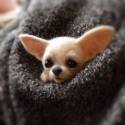 1Komplekt Armsad Loomad Pross DIY villane nõel viltimismaterjalide pakett Villane vildist käsitöö toksi komplekt DIY käsitöökomplekt lastele kingituste meisterdamine