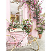 Maastik lilleauto Eiffeli torn DIY 11CT tikandid ristpistes komplektid käsitöö näputöö komplekt prinditud lõuend dropshipping