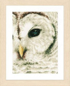 Ristpistekomplekt Hiina ristpistekomplekt Tikandid Näputöö Käsitöö Paketid Puuvillane riideniit Uued kujundused Tikand ZZ686