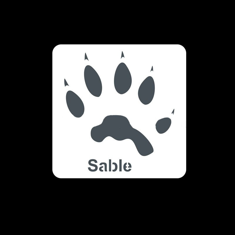 Animacinių filmų plastikinis trafaretas Vaiko trafaretas Gyvūnų pėdsakų trafaretas tapybai Ažūrinis šablonas Iškarpų albumas reljefinis albumo dekoravimas