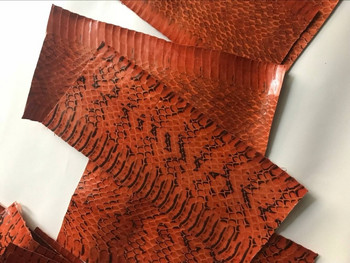 Ρολόι Straps Leather Γνήσιο Snake Skin Κομμάτια 5cm x 20cm